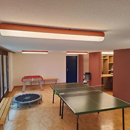 Large In The Vacation Center Whirlpool Holiday home Diemtigen