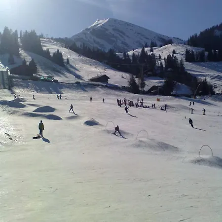 Large In The Vacation Center Whirlpool Vakantiehuis Diemtigen