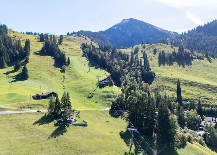 בית נופש Large In The Vacation Center Whirlpool Diemtigen